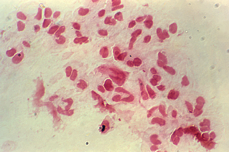 Image of Cover2.