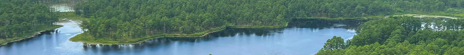 Womack local photo