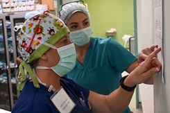 Military Nurses: An Inspiring and Extraordinary Ready Force