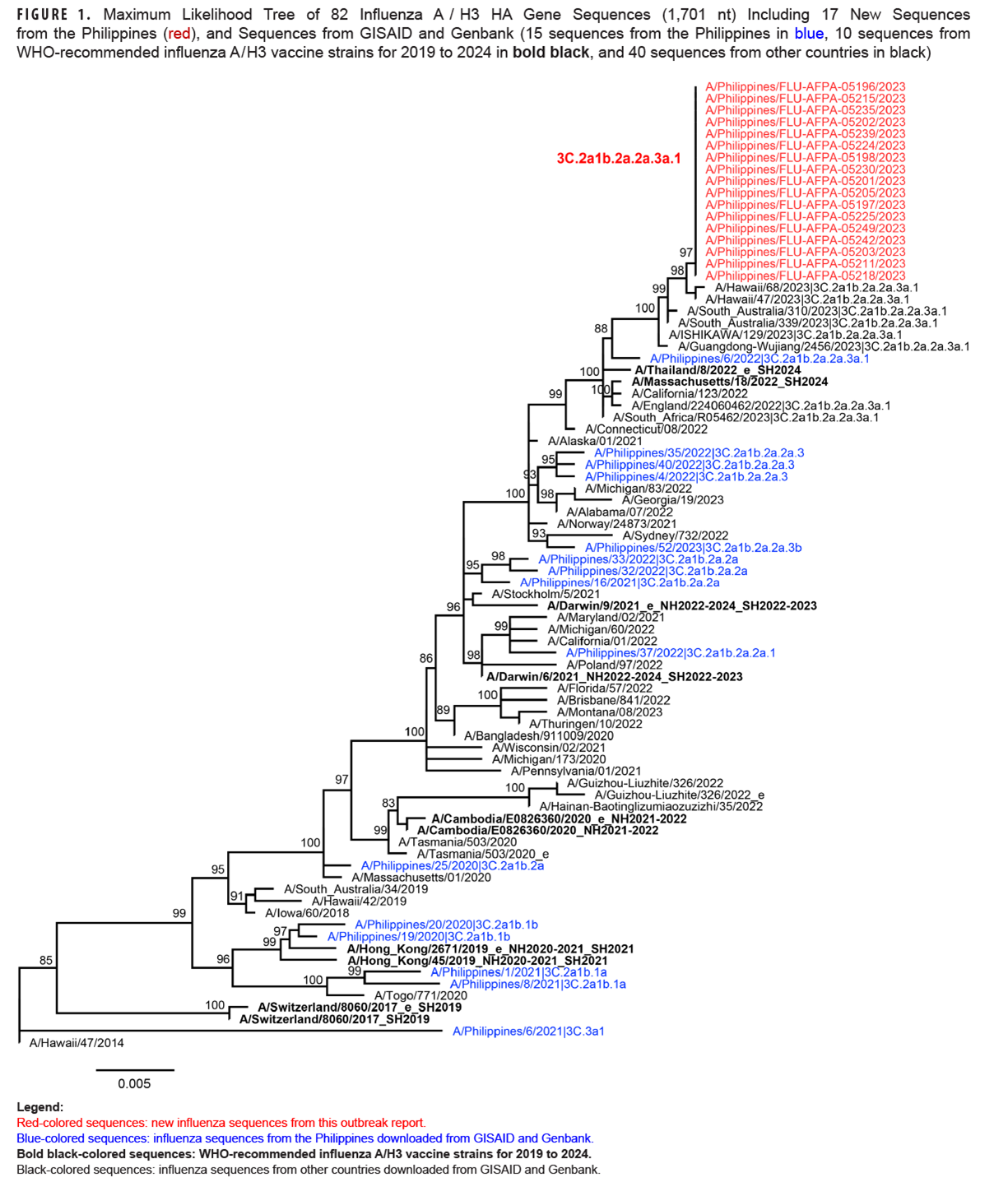 Through the use of a maximum likelihood phylogenetic tree, this graph pictorially represents the evolutionary lineage of 82 selected influenza A/H3 HA gene sequences and geographic locations of origin from newly and previously identified influenza isolates. Starting with the A/Hawaii/47/2014 and A/Philippines/6/2021 3C.3a1 sequences, the tree branches 16 times to reach the 17 newly identified A/Philippines/FLU-AFPA-05/2023 sequences that represent the 3C.2a1b.2a.2a.3a.1 clade. These newly identified sequences are five branches away from the A/Thailand/8/2022_e_SH2024 World Health Organization-recommended influenza A/H3 vaccine strain.