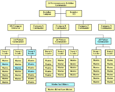 Figure 2. 2d Reconnaissance Battalion organization