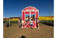 Psychiatry residents and faculty take their family members to a pumpkin patch to celebrate autumn in San Diego.