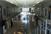 Link to biography of inTransition: Supporting Brigs and Correctional Facilities - May 18, 2020