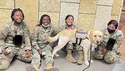 Brooke Army Medical Center facility dog U.S. Army Maj. Budd interacts with soldiers being in-processed in August 2022. Facility dogs are being given honorary commissions or are enlisted in a service as a mark of respect for their value in comforting personnel in need and increasing morale and mental health. (Photo: Jennifer Higgins, special assistant for healthcare resolutions BMAC)