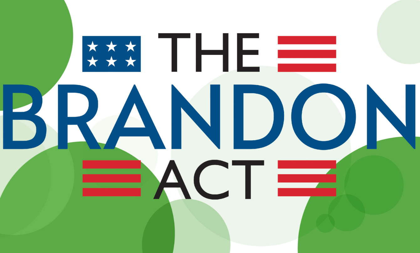 Opens larger image for U.S. Military Departments Implement Brandon Act to Improve Mental Health Support