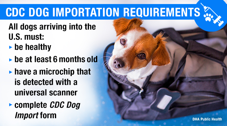 DHA Veterinary Services Explains Updated CDC Dog Importation Guidelines
