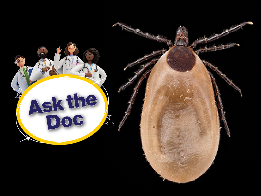 Ask the Doc: How Can I Protect My Family and Buddies from Ticks?