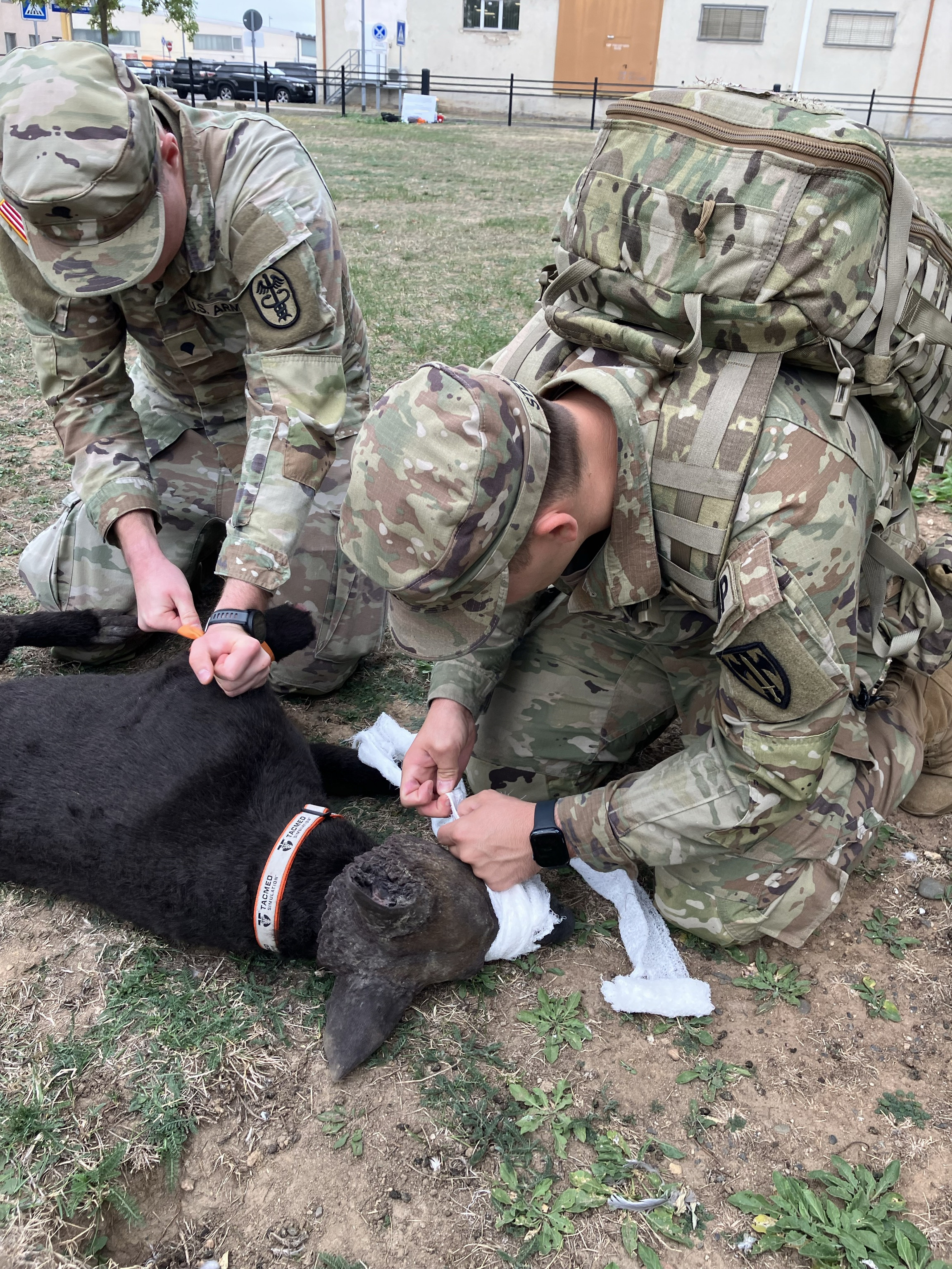 Wiesbaden Conducts Multi-Echelon MWD CASEVAC and K9TCCC Exercise