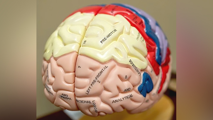 A decade of impact: 10 Years of U.S. military partnership with NCAA improves concussion research and care