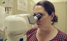 Developing a ZPIV Zika Vaccine