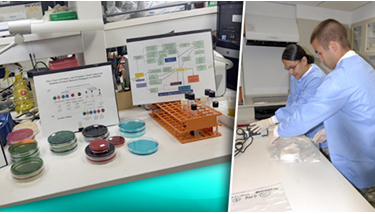 Pictured GEIS laboratory scientists and the enteric infections surveillance work they do.