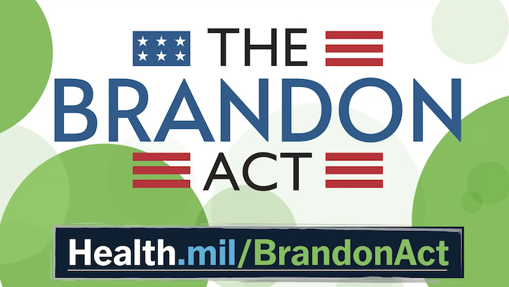 Link to Video: The Brandon Act