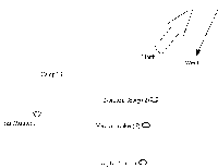 Purple T-Shirt Groups