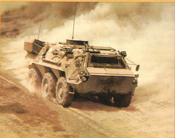 Figure 8. A Fox NBC Reconnaissance Vehicle in Desert Storm Camouflage.