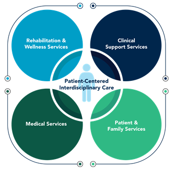 Patient Centered Care Graphic