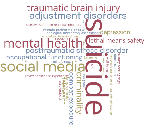 Graphic with the words traumatic brain injury, adjustment disorders, selective serotonin reuptake inhibitors, intimate partner violence, anxiety, ecological momentary assessment, depression, embedded behavioral health, Covid-19, mental health, lethal means safety, stress, posttraumatic stress disorder, occupational functioning,  mindfulness, social media, ketamine, music therapy, well-being, repetitive transcranial magnetic simulation, social support, military working dogs, adverse childhood experiences, readiness, criminality, combat exposure, behavioral health, telehealth, neurofeedback