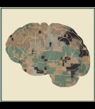 Illustration of a camouflage brain
