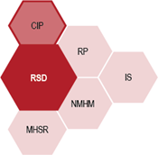 RSD branches: CIP, MHSR, RP, NMHM, IS. CIP is highlighted.