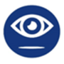 Icon of an eye representing preoccupation with failure.