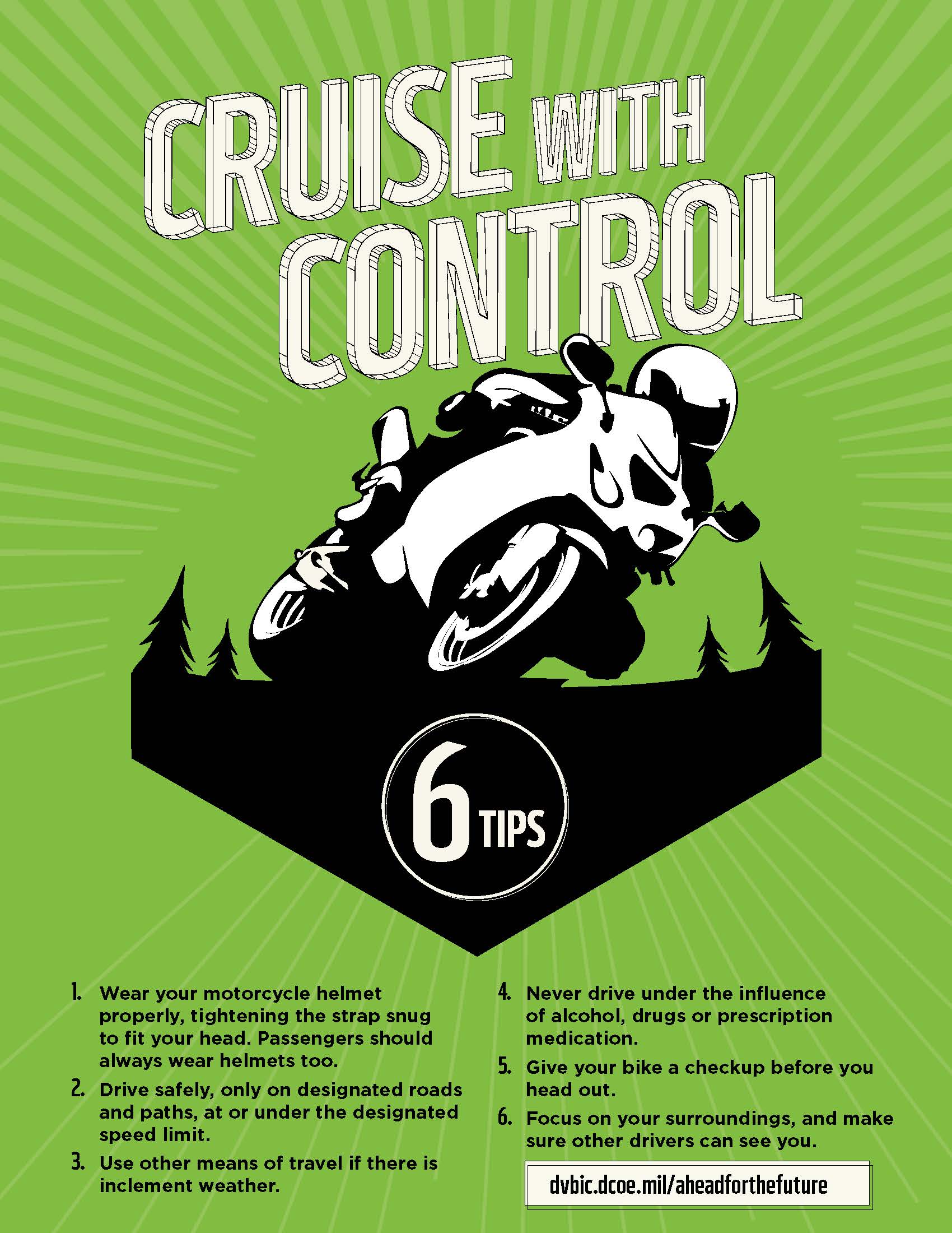 Thumbnail image of the Cruise with Control Fact Sheet