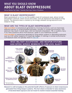Thumbnail image of the downloadable What You Should Know About Blast Overpressure Fact Sheet.