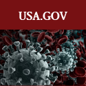 Opens to What the Government is Doing about Coronavirus website