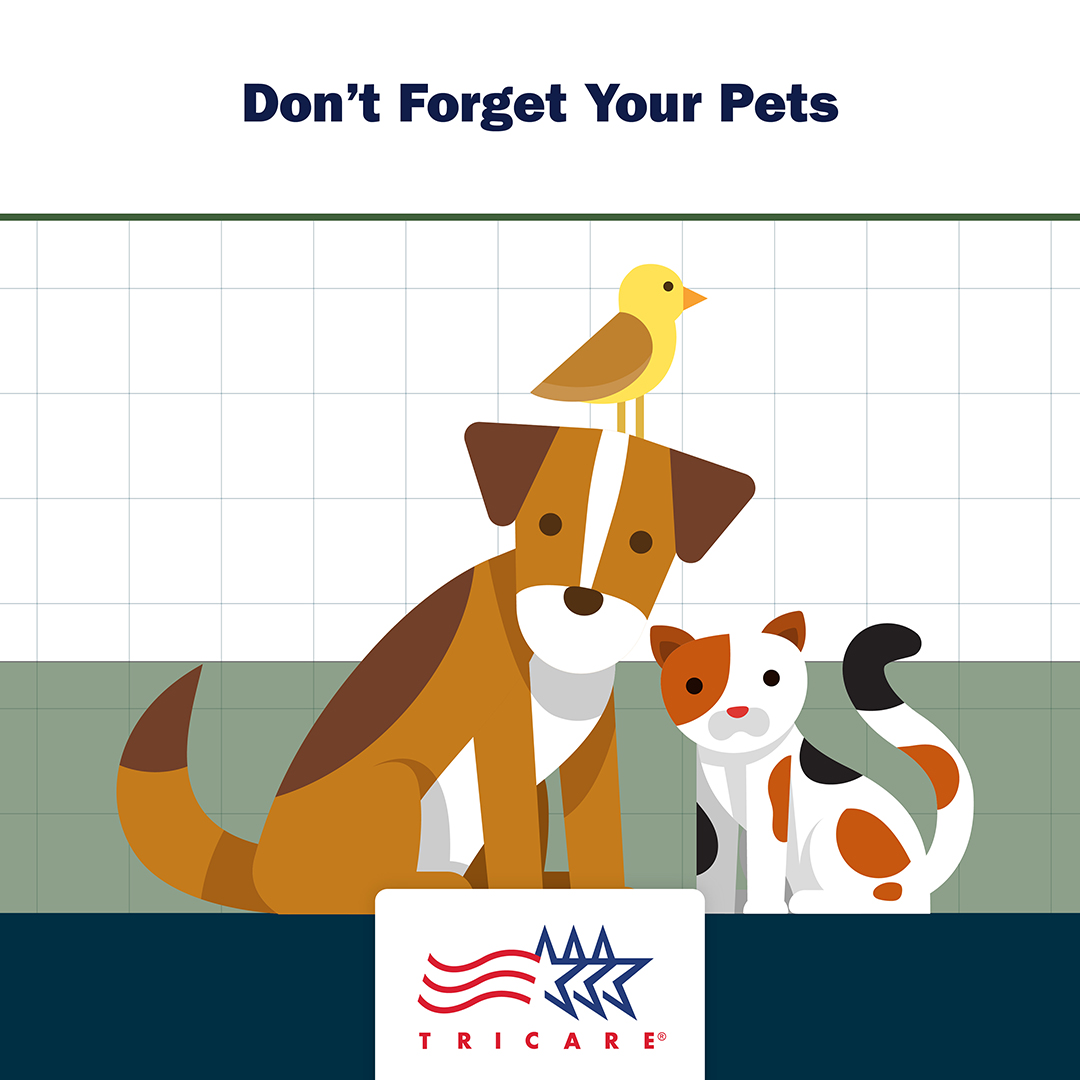  Image of dog and cat with text "Don't forget your dogs and cats"