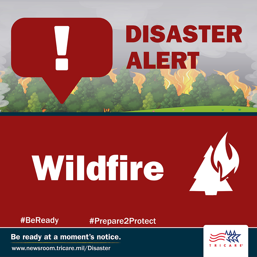  Wildfire: Disaster alert graphic that says, "Disaster Alert: Wildfire" with an image of a wildfire.
