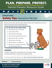 Link to biography of Pet Safety