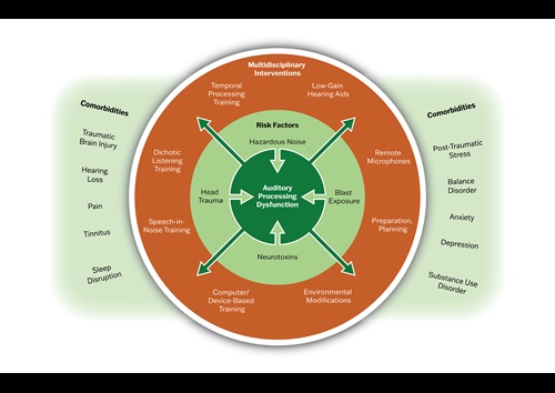 Auditory Processing Dysfunction Multidisciplinary Interventions