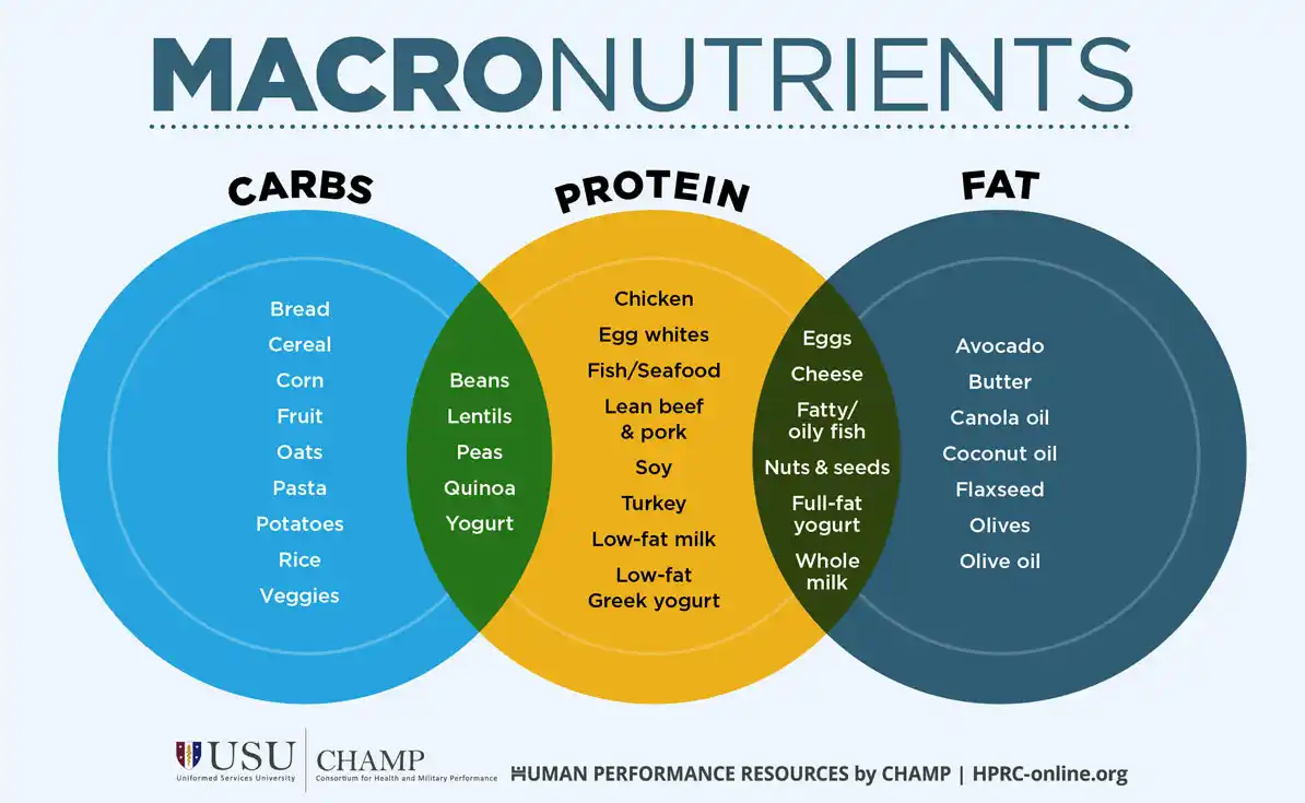 Link to Infographic: Macronutrients: Carbs, Proteins, Fats 