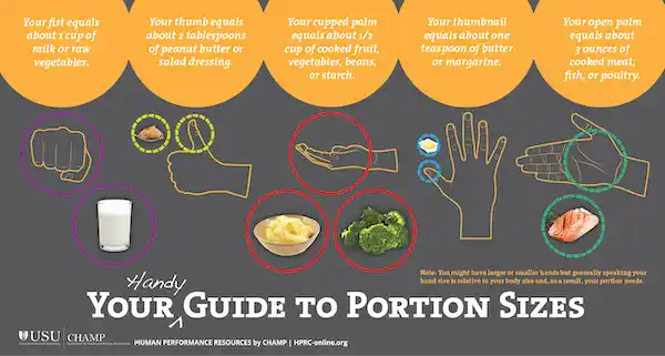 Link to Infographic:  Your handy guide to portion sizes