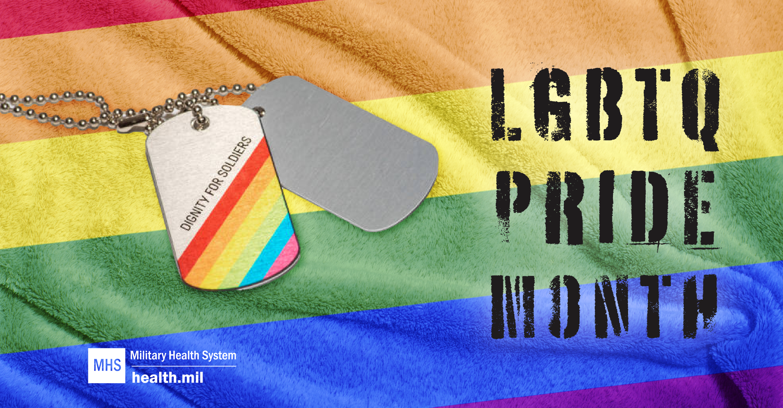  Social media graphic for LGBTQ Pride Month showing a rainbow flag and dog tags