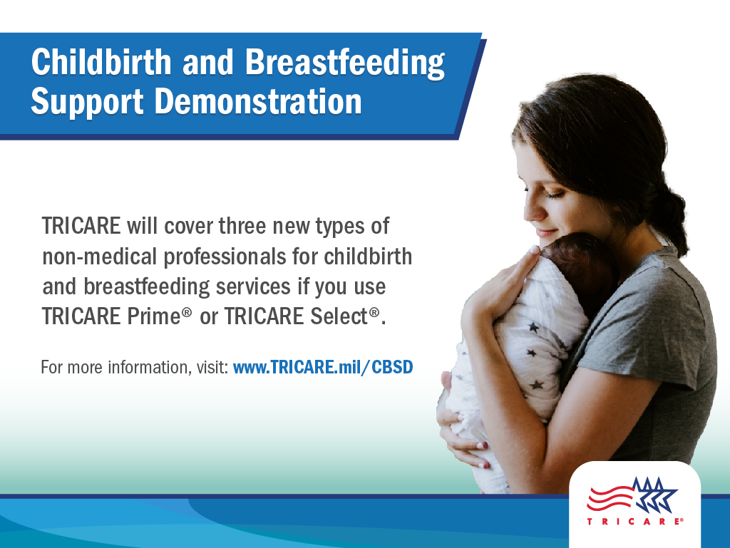 Childbirth and Breastfeeding Support Demonstration Graphic