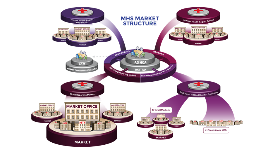 Diagram of MHS Market Structure