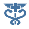 Health Readiness Icon