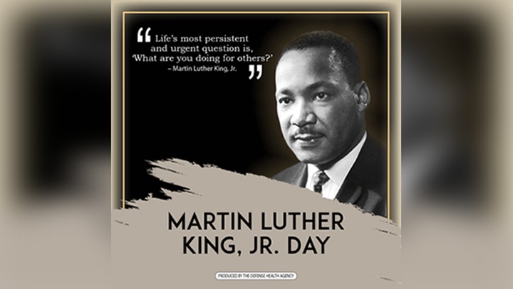 Image of MLK infographic.