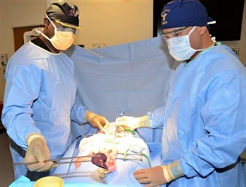 Surgical team in operating room
