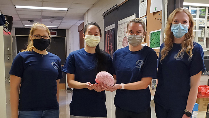 Four women, wearing masks, holding onto a simulated brain