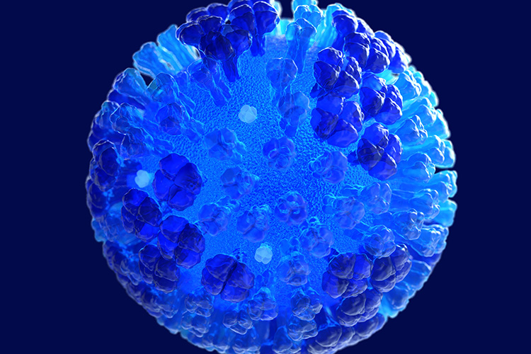 Image of 4CDC_Dan Higgins23224.