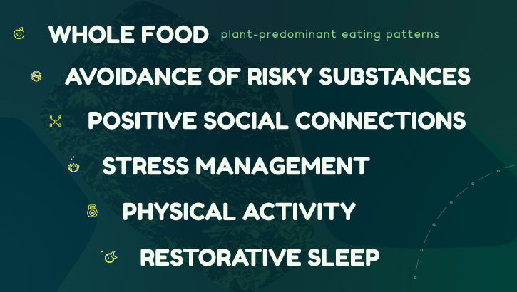 Image of 6 Pillars of Lifestyle and Performance.