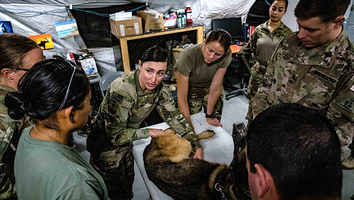 Image of Military personnel in veterinary class.