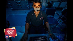 Military personnel looking at a computer