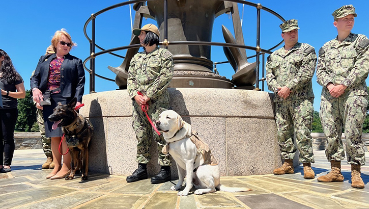 The Walter Reed Bethesda Facility Dogs are certified and highly trained dogs who provide critical support to wounded warriors and their families as they transition back into life after injury or serious illness. The Facility Dogs can be promoted based on time in rate and merit. These promotions are always a special occurrence as the Facility Dogs are a welcomed boost of morale to not only our patients, but to our Sailors, Soldiers, Marines, Airman, and Staff.  (Photo: Chief Petty Officer Emilio Velez)