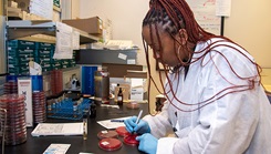 Laboratory Technician Andrienne Collier works with wound cultures to isolate microorganisms while working at the Naval Medical Center Portsmouth laboratory. As part of the Defense Health Agency’s Tidewater Market, the NMCP laboratory provides a comprehensive range of anatomic pathology, blood bank, and clinical pathology services to eligible beneficiaries in the Tidewater region. (U.S. Navy photo by Mass Communication Specialist 2nd Class Dylan M. Kinee/Released)