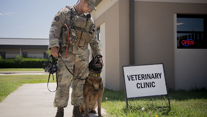Senior Airman Joseph Fox, 22nd Security Forces Squadron military working dog handler, and military working dog Sani stand outside the veterinary clinic at McConnell Air Force Base, Kansas May 30, 2023. A team of ophthalmologists from Kansas State University's Veterinary Health Center visited McConnell, where they provided free eye exams for military working dogs. (U.S. Air Force Photo: Airman Gavin Hameed) 
