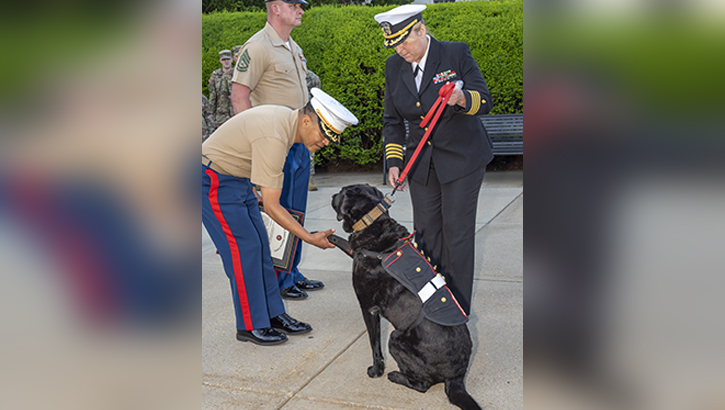 Walter Reed Facility Dog, U.S. Marine Corps Gunnery Sgt. Dillon, was honorarily promoted to Master Sgt. by U.S. Marine Lt. Col. Rodolfo “Rudy” Uriostegui, Officer in Charge, Wounded Warrior Battalion-East, Walter Reed Detachment, along with U.S. Marine Staff Sgt. Anthony Williams and U.S. Marine Staff Sgt. Stephen Miller in front of the “Historic” Tower at Walter Reed National Military Medical Center, Bethesda, Maryland.