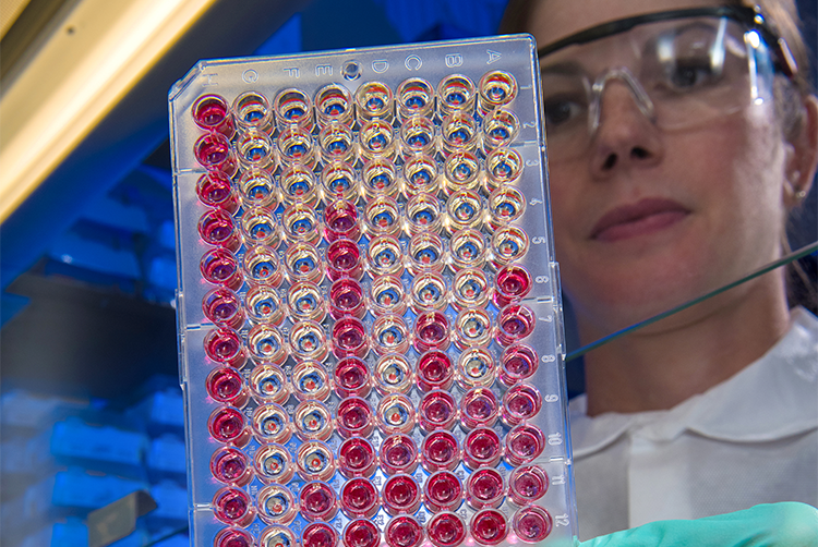 Image of 9CDC_James Gathany_23214.