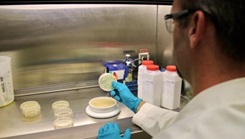 Image of a man in a white coat doing experiments. Click to open a larger version of the image.