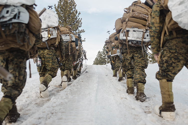 Image of Cover_Photo1_8923268.